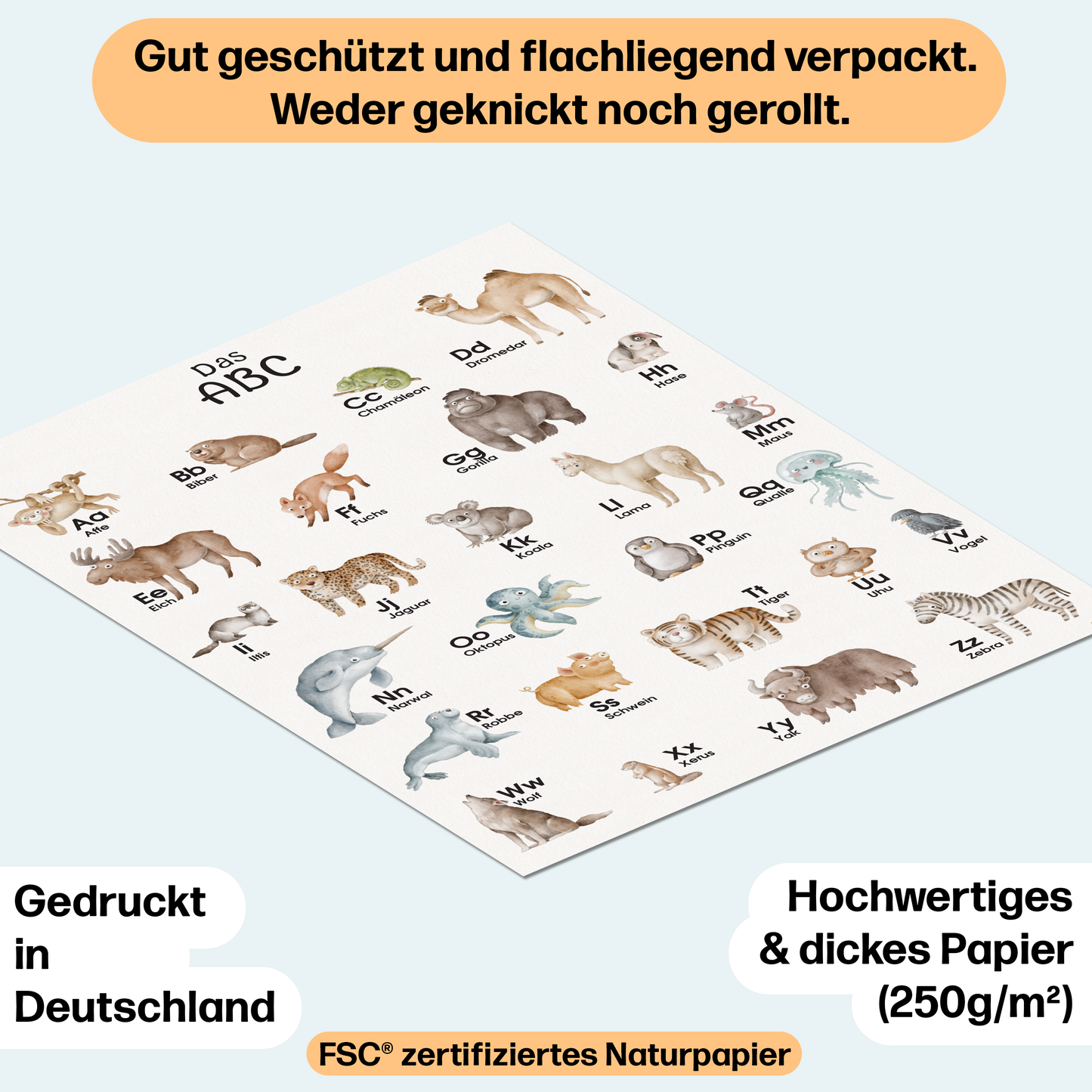 ABC Poster mit Tier Alphabet | A3 Größe