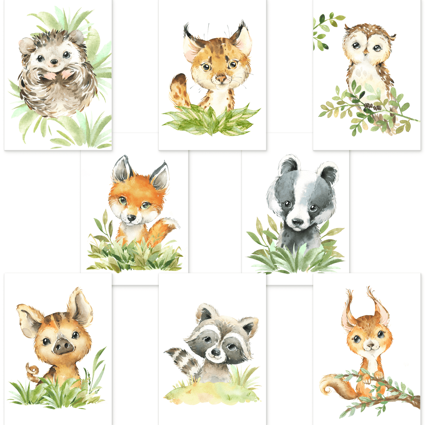8er Poster-Set Waldtiere Kinderzimmer I Babyzimmer Deko I Eichhörnchen, Igel, Eule, Luchs etc. mit Flora