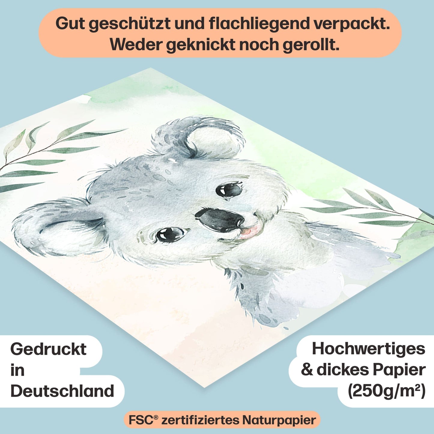 6er Poster Set Australischer Baby Tiere und Pandabären • DIN A4